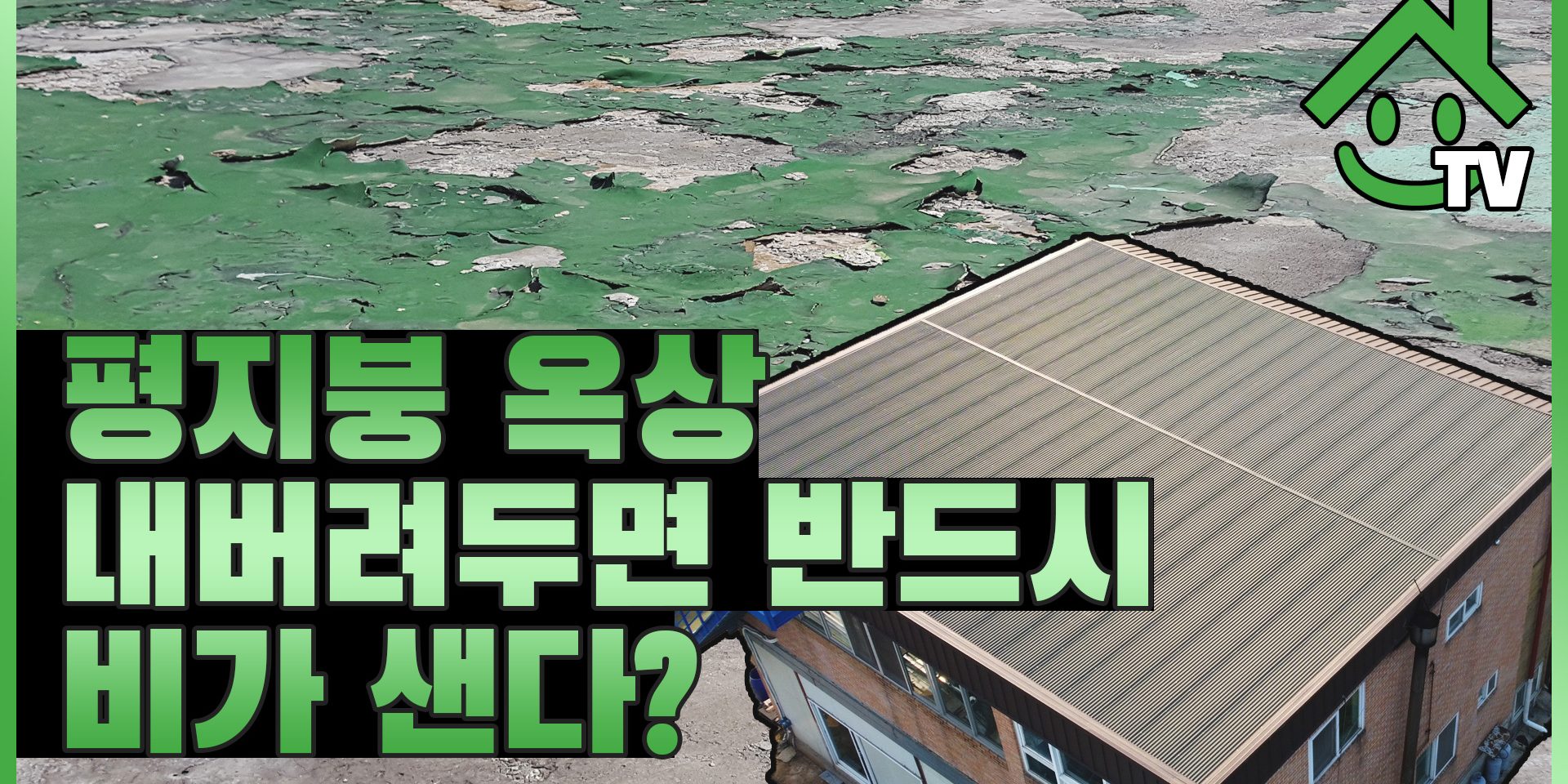 포지 시즌투 013